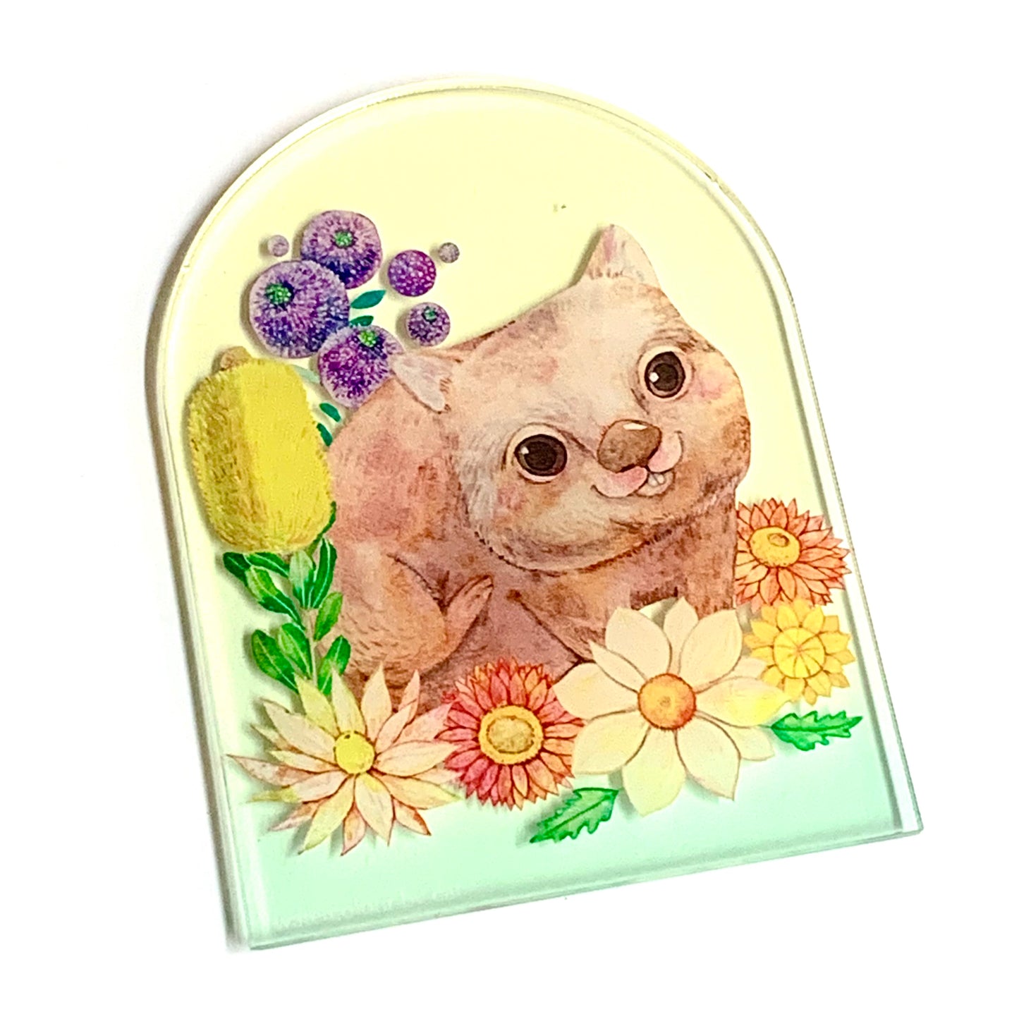 WATERCOLOURS BY CAT- Wombat- Australian Animal Art Magnet