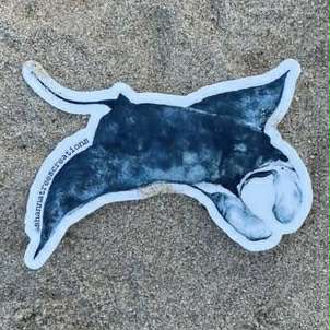 Shanna Trees Creations- Manta Ray Medium Sticker
