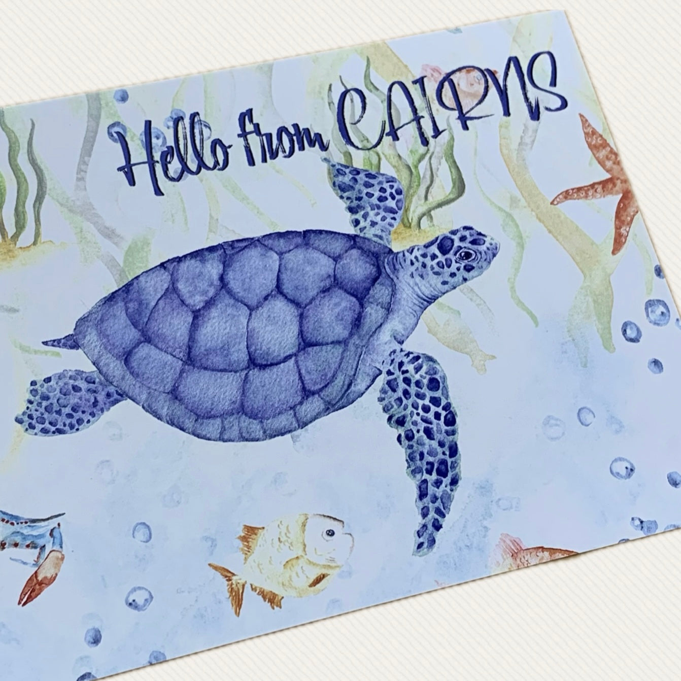 Shanna Trees Creations- Turtle Postcard