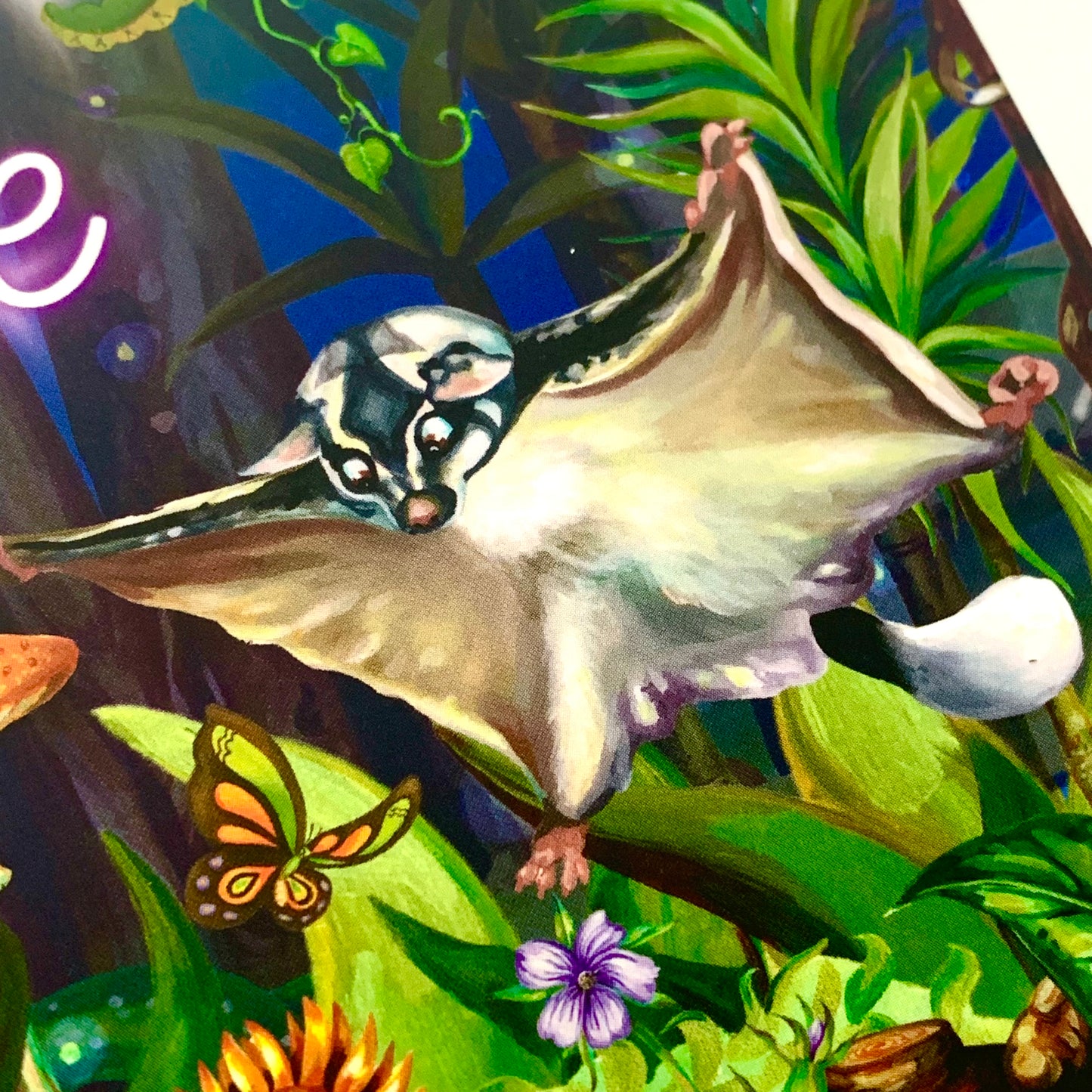 HAYLEY GILLESPIE - "DAINTREE RAINFOREST" POSTCARD