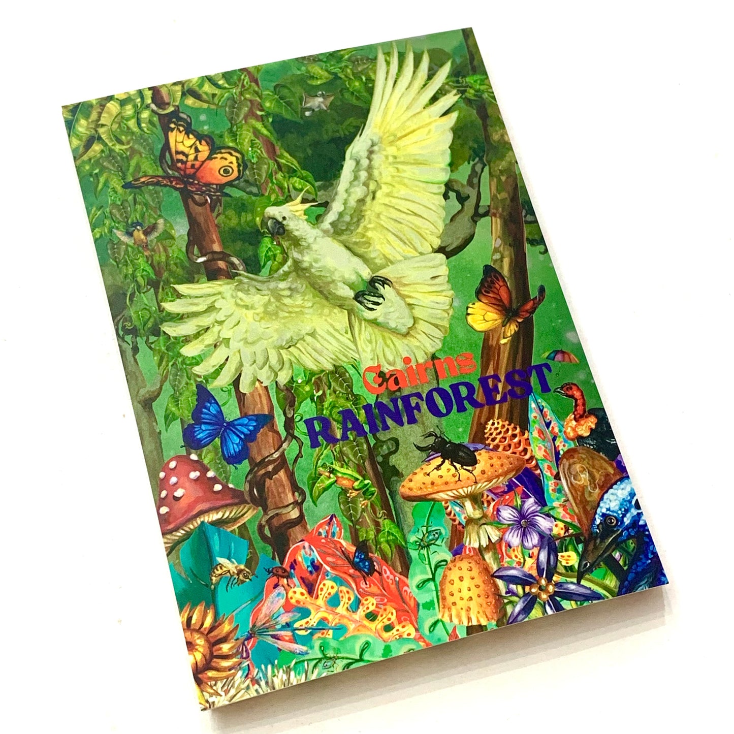 HAYLEY GILLESPIE - "CAIRNS RAINFOREST"- POSTCARD