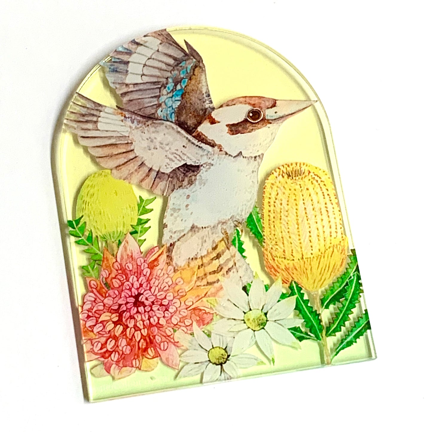 WATERCOLOURS BY CAT- Kookaburra- Australian Bird Art Magnet