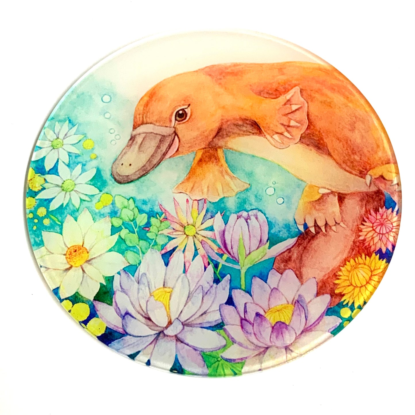 WATERCOLOURS BY CAT- Platypus- Australian Animal Art Coaster