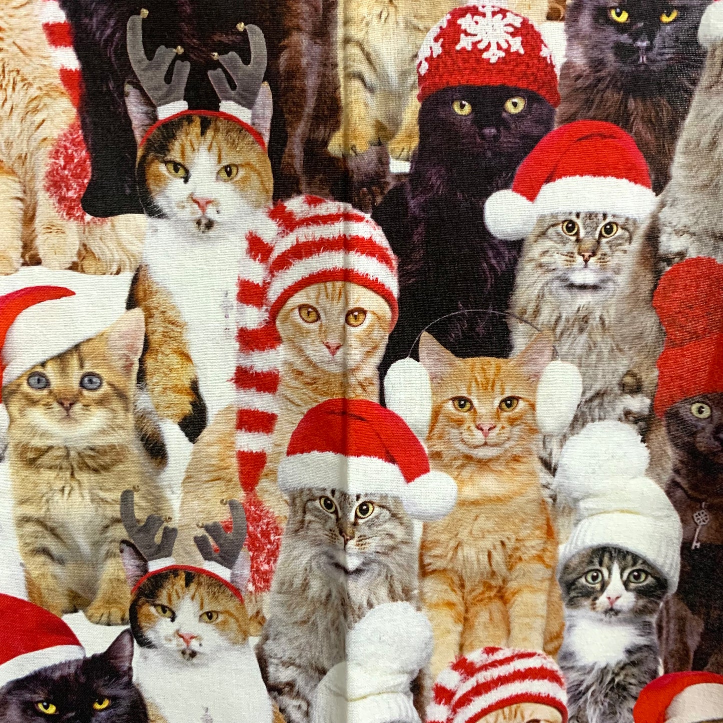 MUMMA WHOOPEE - "Christmas Kitties" Apron