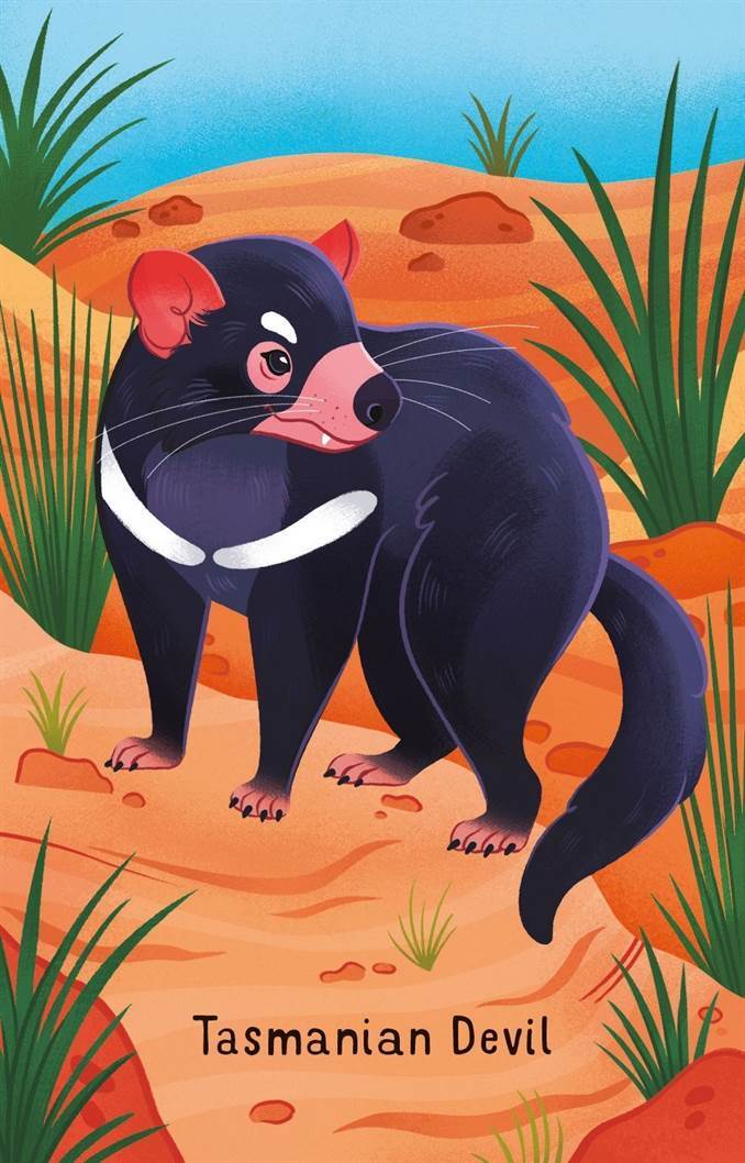 Australian Animals Snap Card Game