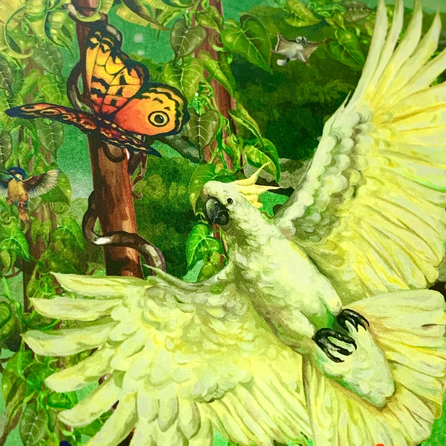 HAYLEY GILLESPIE - "CAIRNS RAINFOREST"- POSTCARD