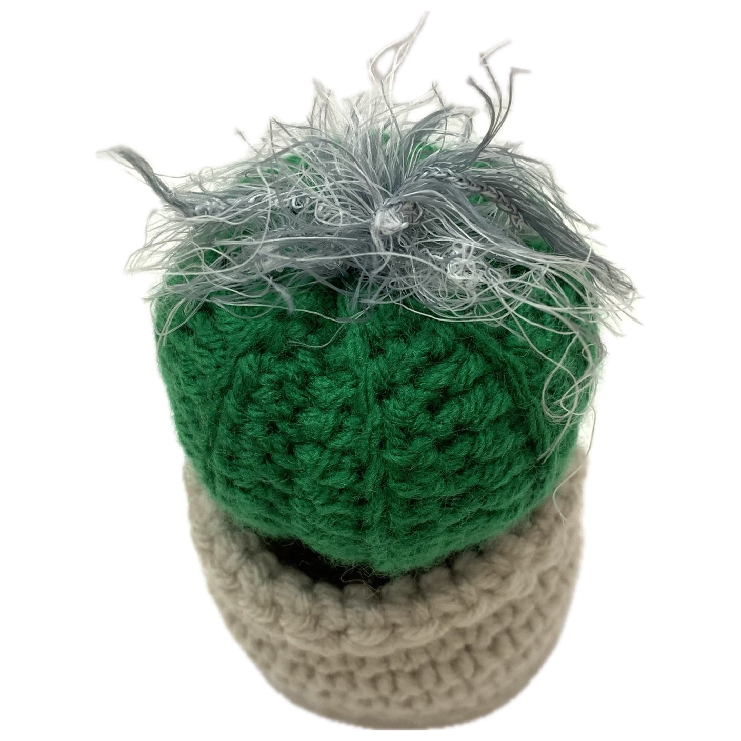 BEAKNITS- CROCHETED CACTUS #14- Fuzzy Green