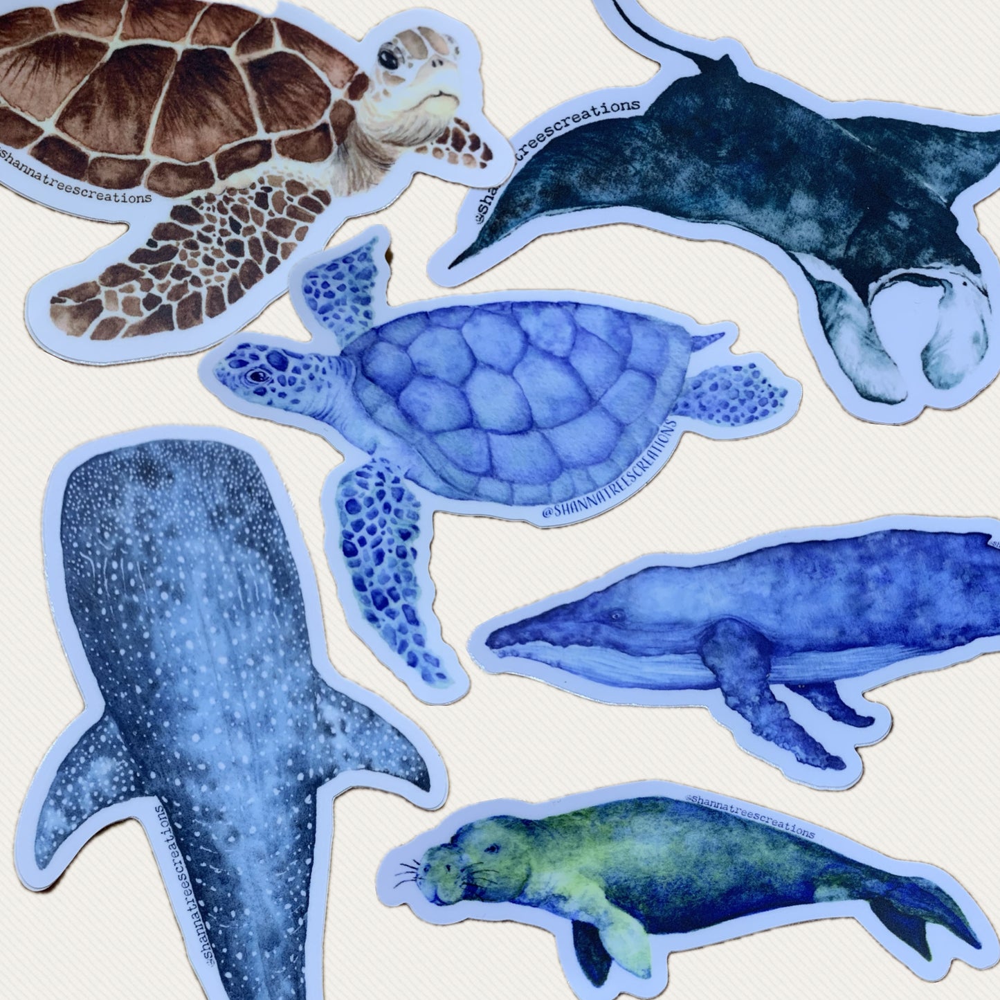 Shanna Trees Creations- Loggerhead Turtle Sticker