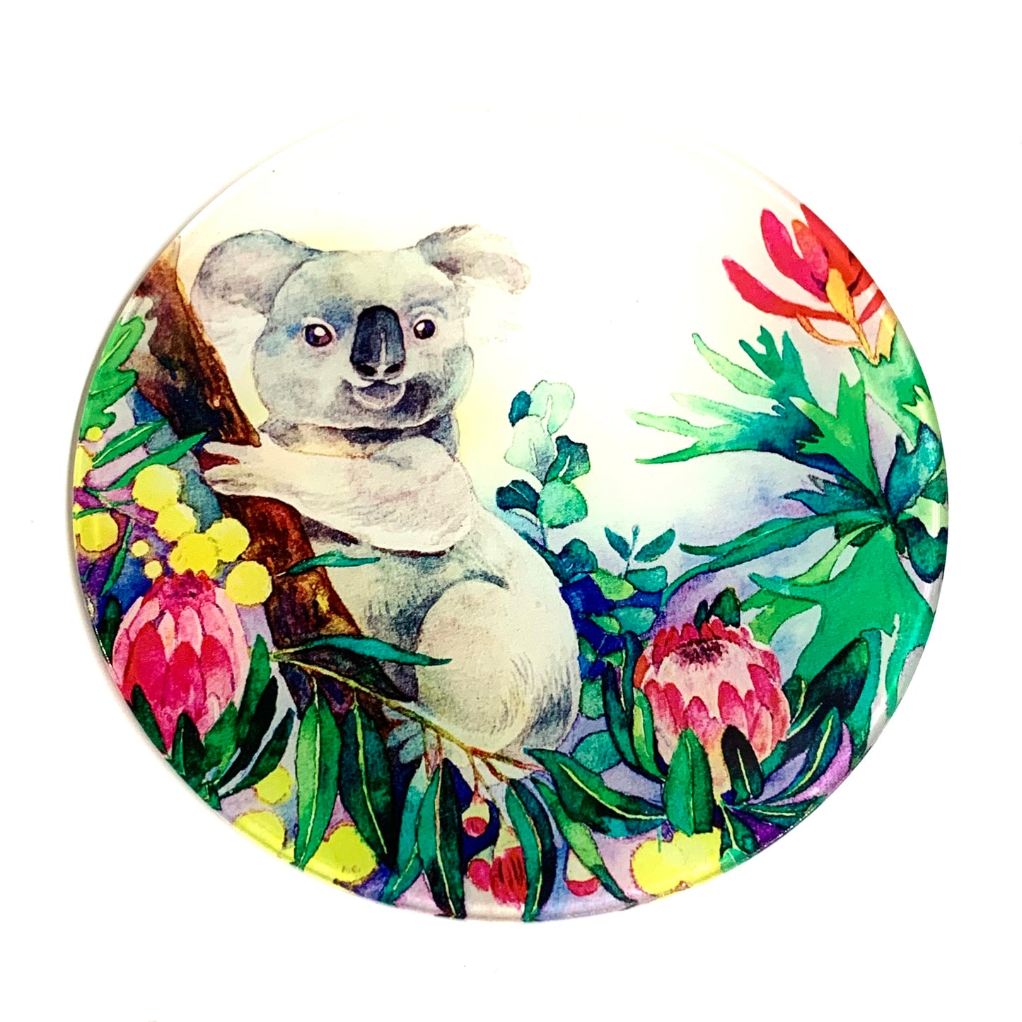 WATERCOLOURS BY CAT- Koala- Australian Animal Art Coaster