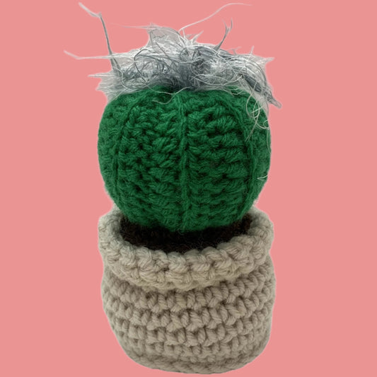 BEAKNITS- CROCHETED CACTUS #14- Fuzzy Green