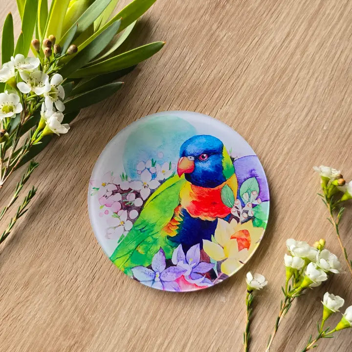 WATERCOLOURS BY CAT- Rainbow Lorikeet- Australian Bird Art Coaster