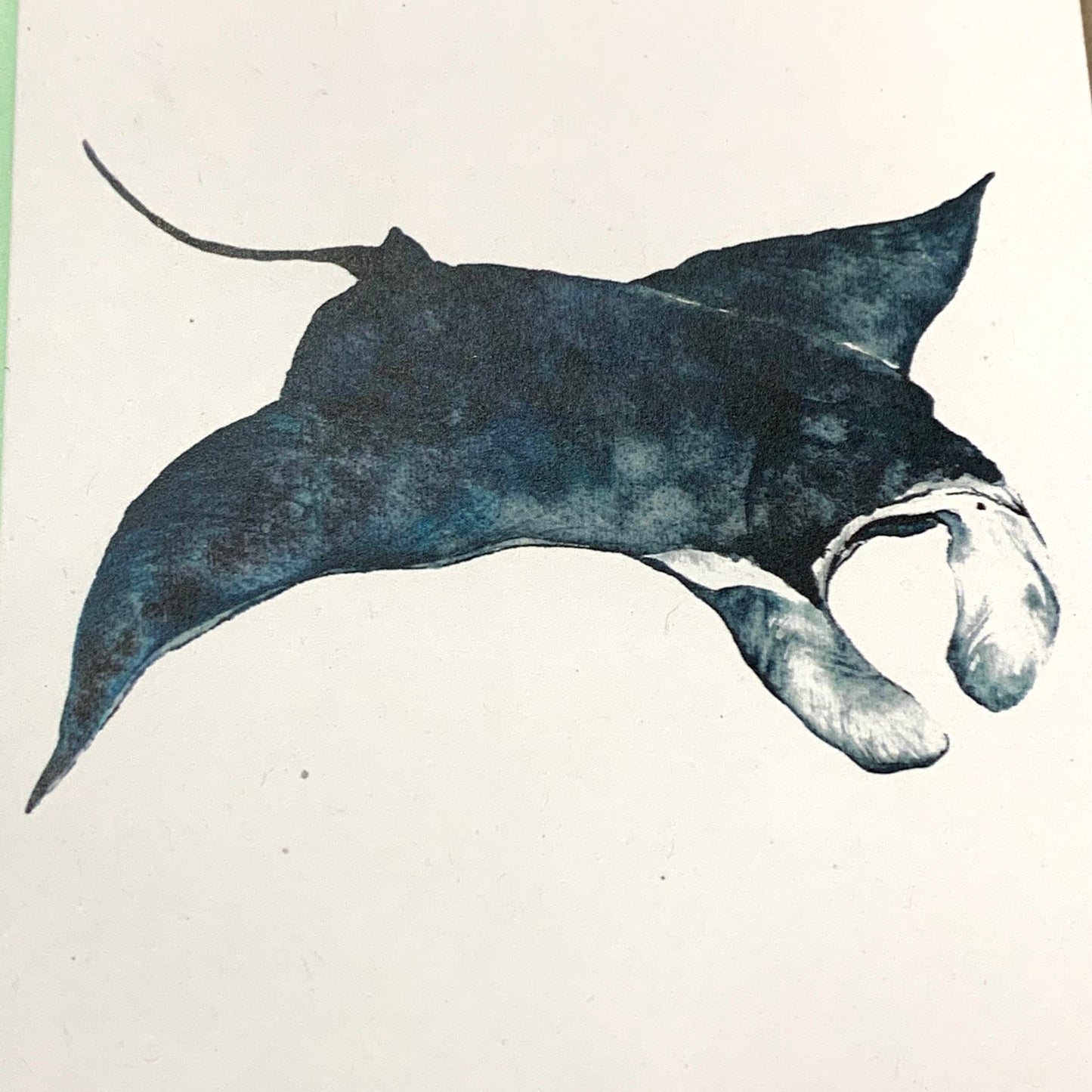 Shanna Trees Creations- Manta Ray- Regular Greeting Card