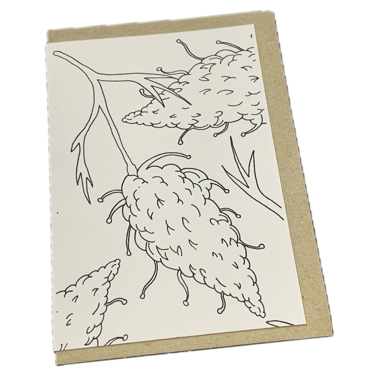 Shanna Trees Creations- "Colour Your Own" Greeting Cards- Set of 5