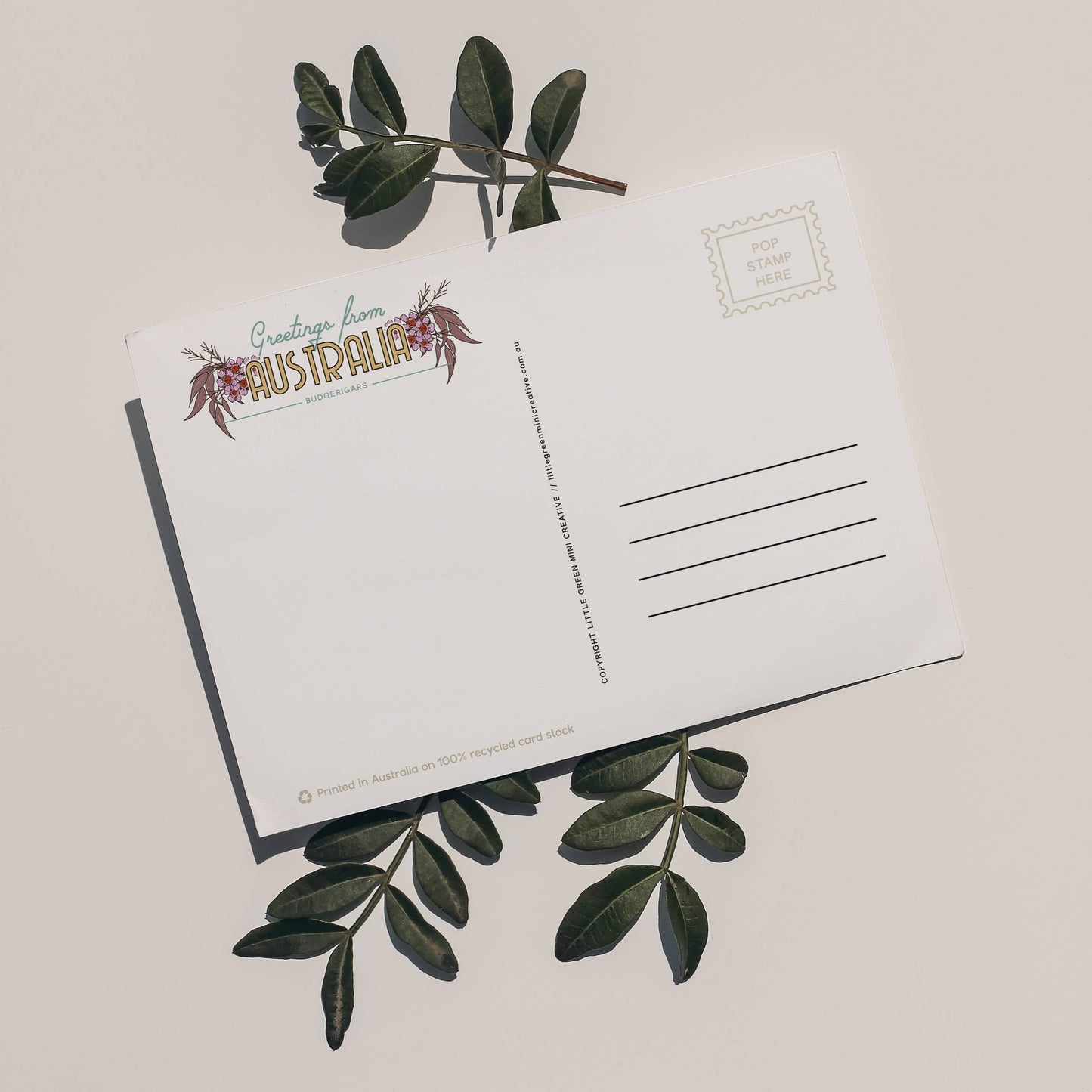 Green Mini Creative - Postcard- Budgie- "You Beaut"
