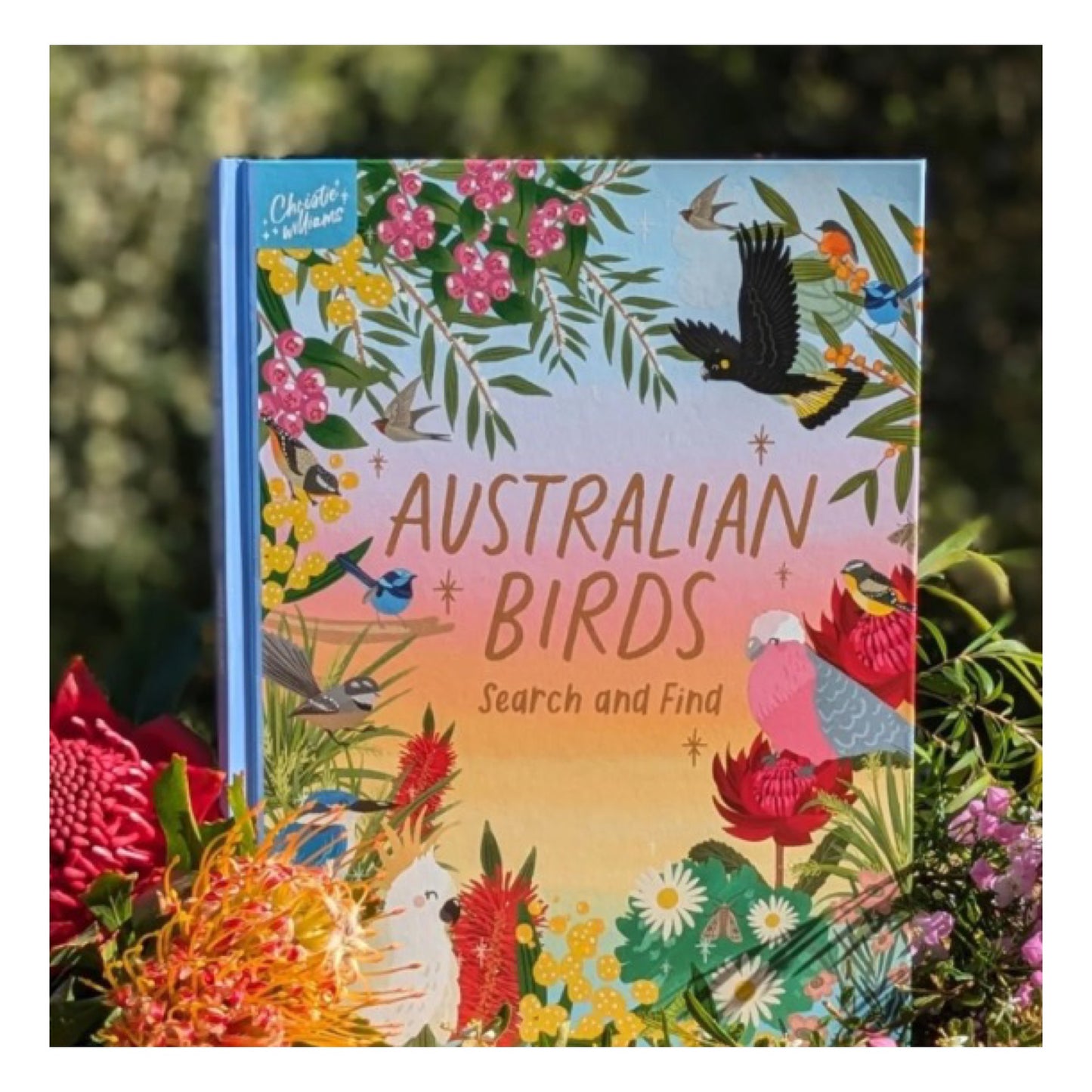 BOOKS & CO - LET’S LOOK AT AUSTRALIAN BIRDS- Christie Williams