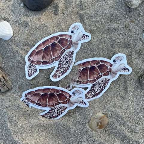 Shanna Trees Creations- Green Turtle Medium Sticker