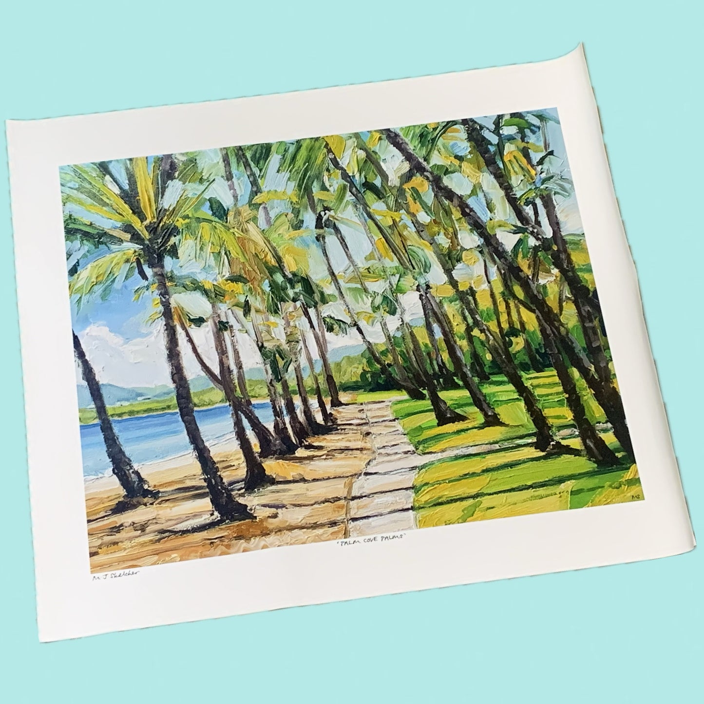 Mark Skelcher Artist - "Palm Cove Palms"- Canvas Print