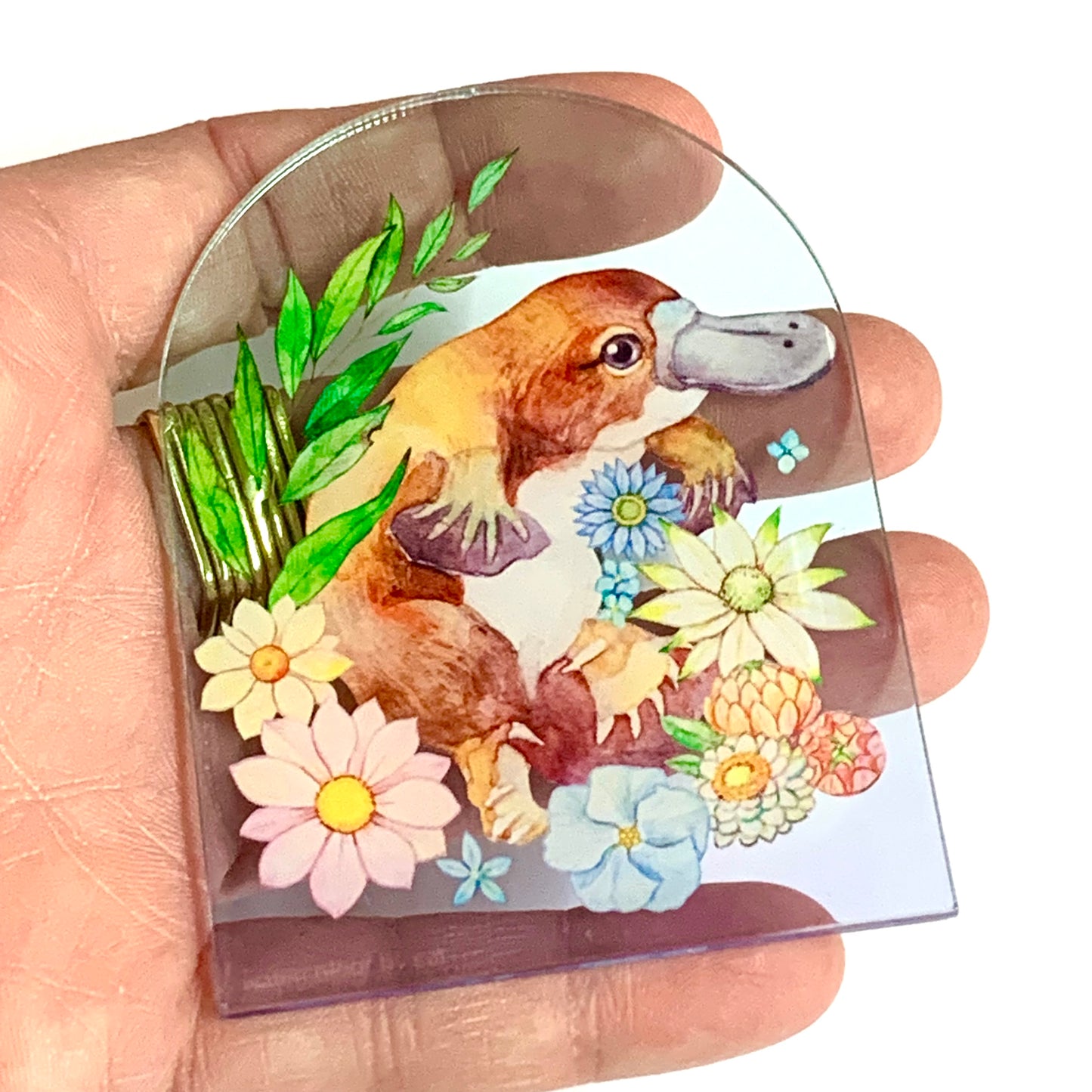WATERCOLOURS BY CAT- Platypus- Australian Animal Art Magnet
