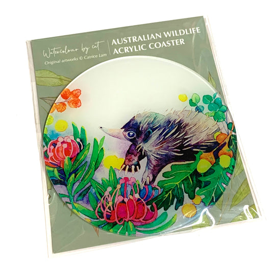 WATERCOLOURS BY CAT- Echidna- Australian Animal Art Coaster