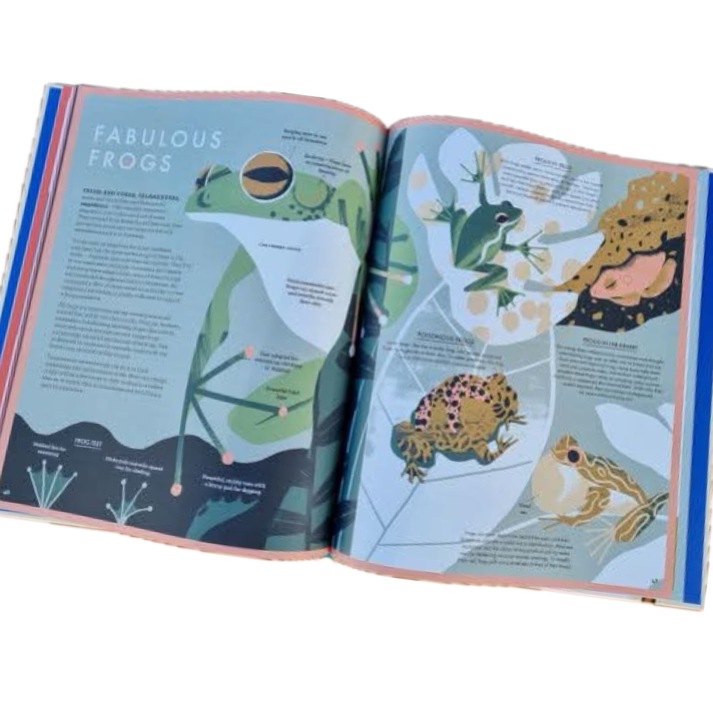 BOOKS & CO - WILD AUSTRALIAN LIFE- by Leonard Cronin