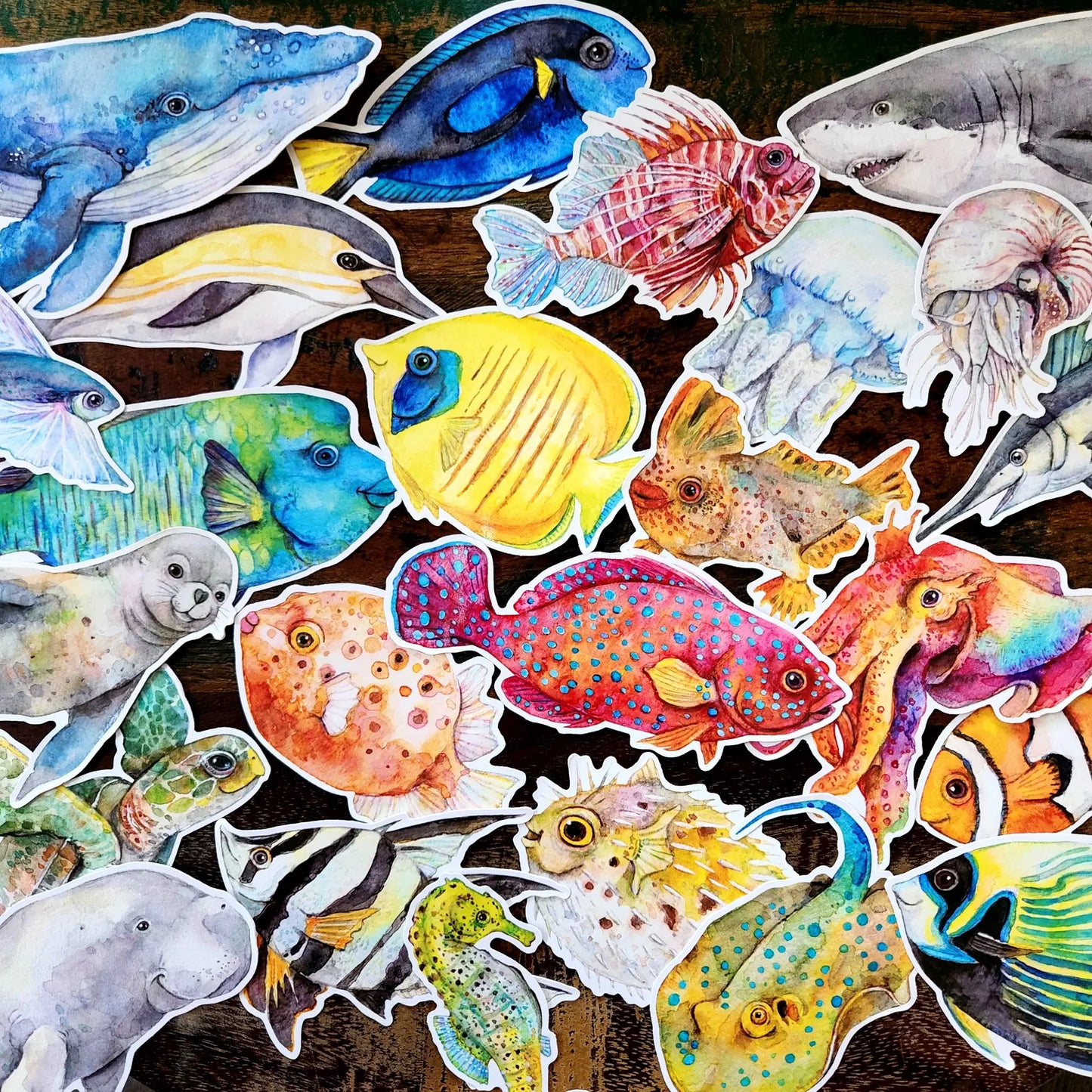 WATERCOLOURS BY CAT- Angel Fish - Large Australian Marine Life Vinyl Stickers