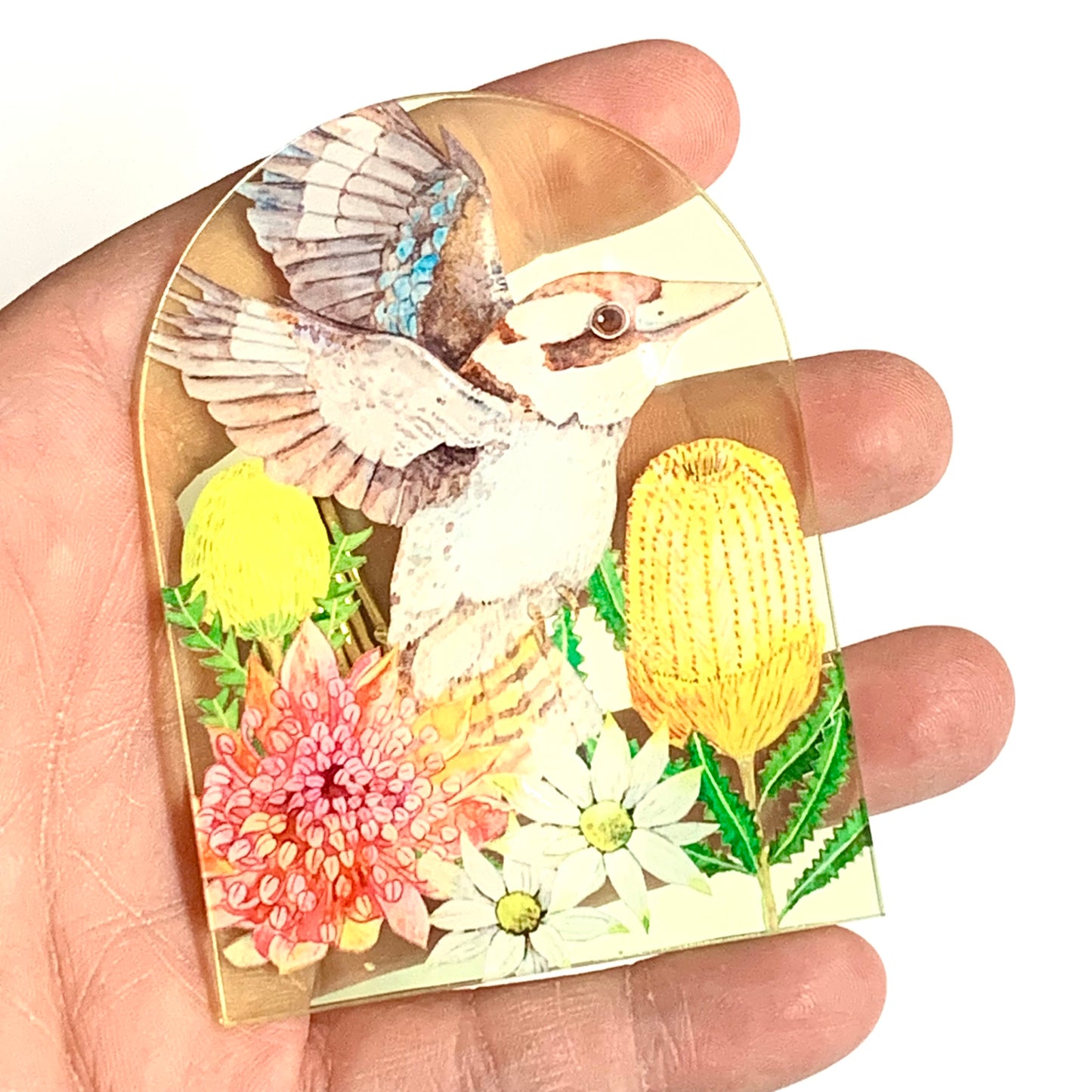 WATERCOLOURS BY CAT- Kookaburra- Australian Bird Art Magnet