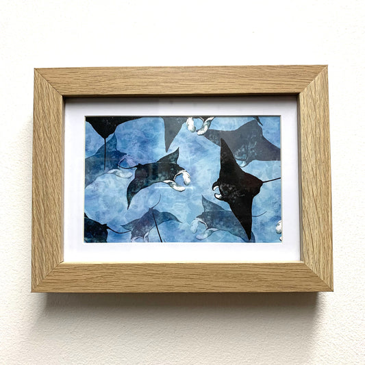 SHANNA TREES CREATIONS - Framed "Manta Ray Dance" Print