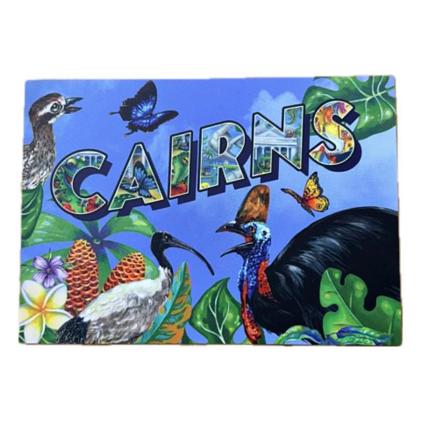 HAYLEY GILLESPIE - "Cairns Birds" POSTCARD