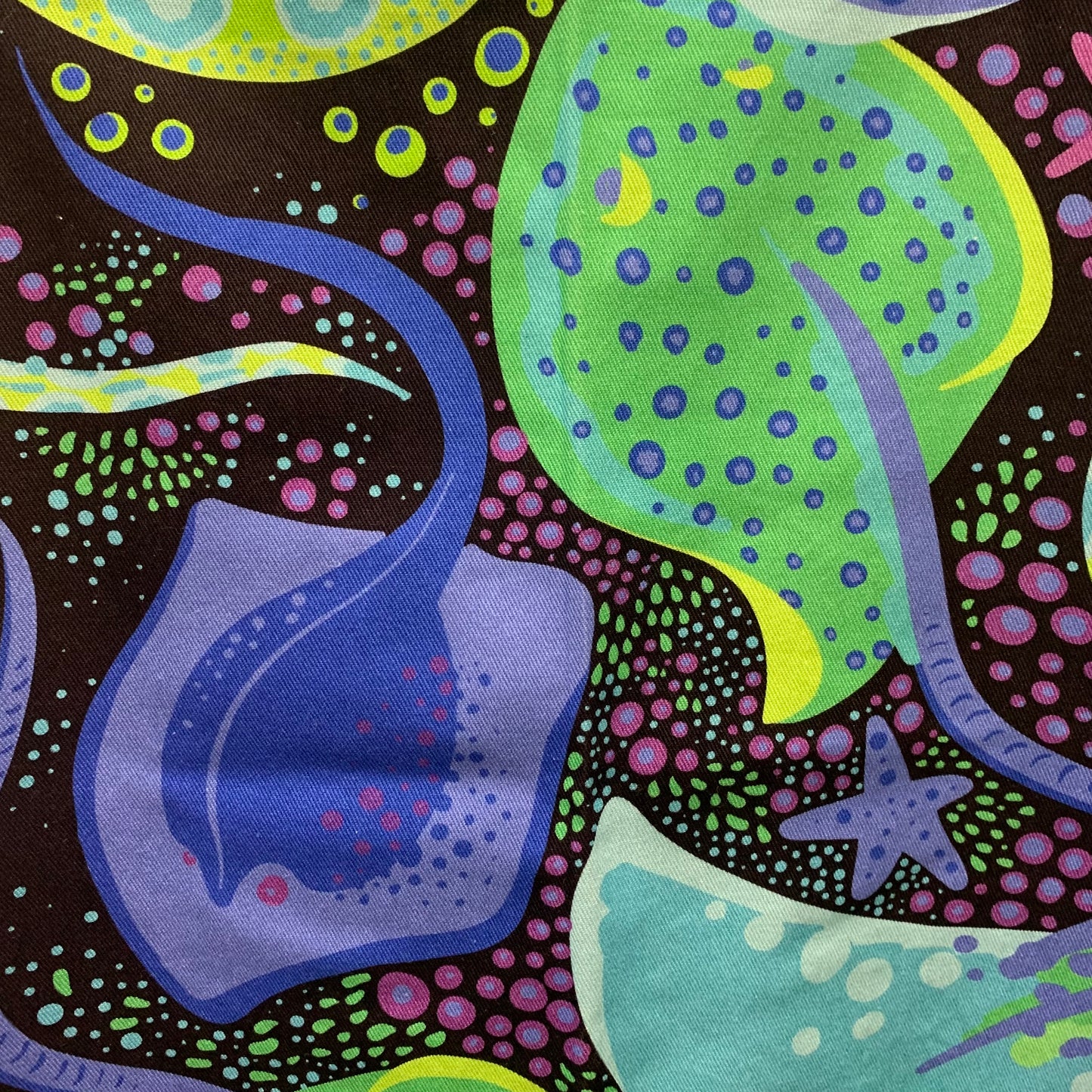 MAKIN' WHOOPEE - "Funky Rays"-Ellie Whittaker APRON