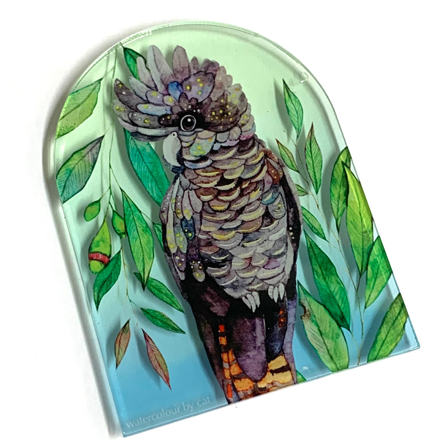 WATERCOLOURS BY CAT- Black Cockatoo- Australian Bird Art Magnet