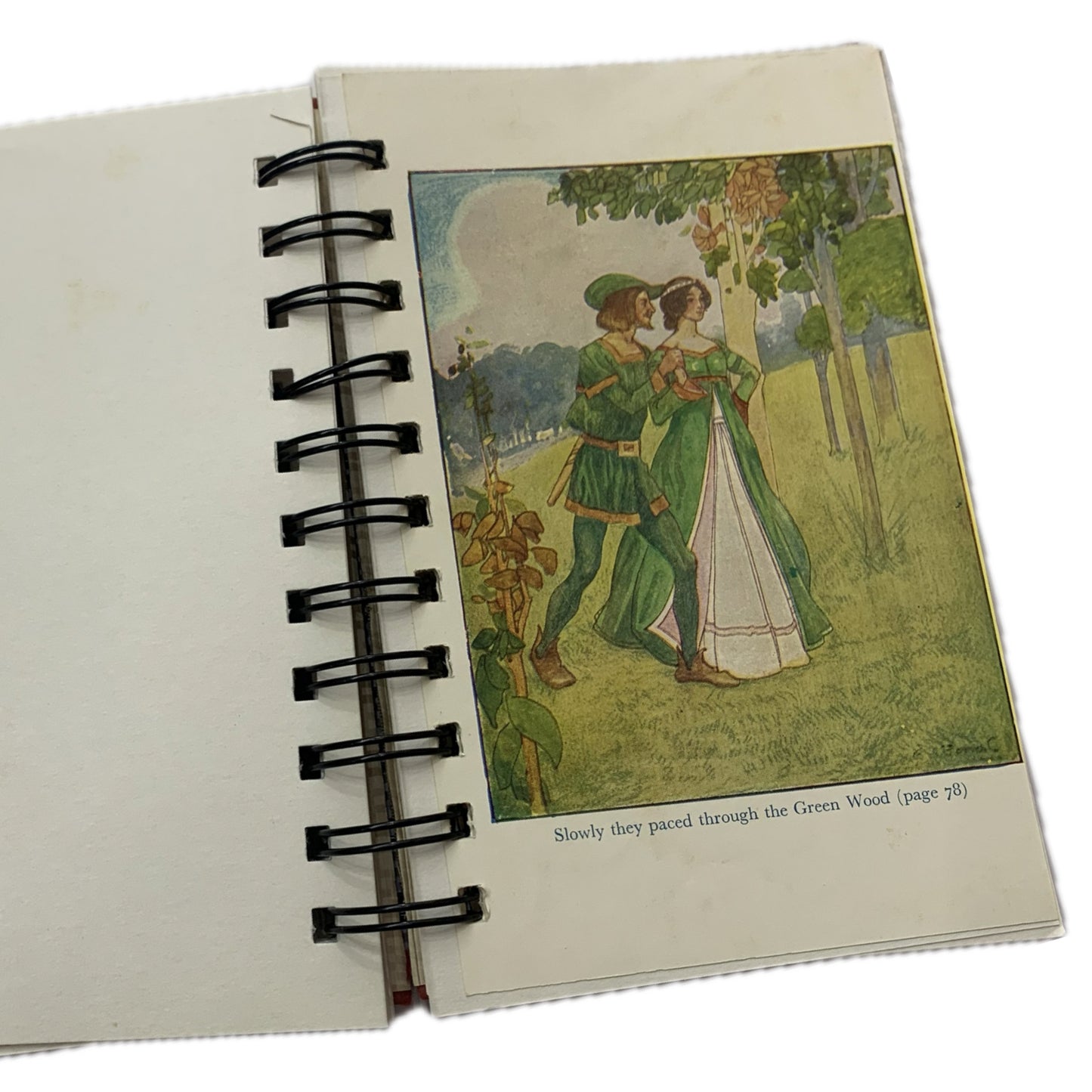 THIS BIRD HAS FLOWN - Rebound Book Journals- Robin Hood