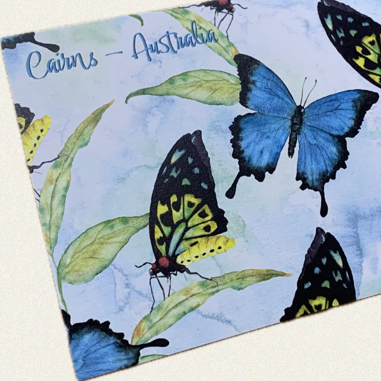 Shanna Trees Creations- Cairns Butterflies Postcard
