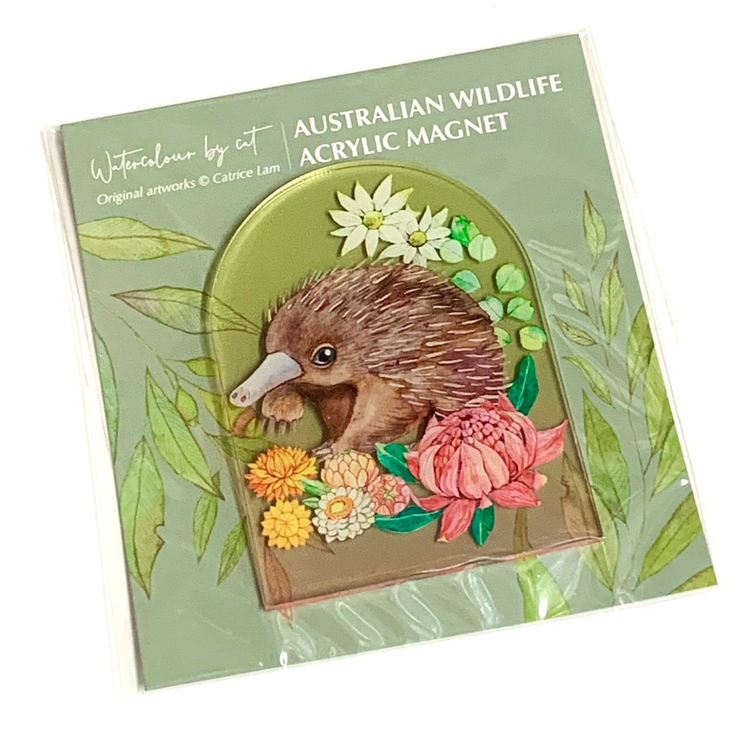 WATERCOLOURS BY CAT- Echidna- Australian Animal Art Magnet