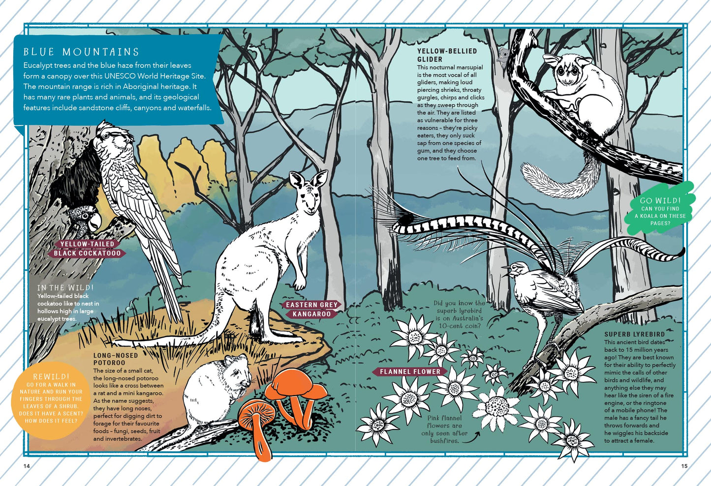 BOOKS & CO - REWILDING KIDS AUSTRALIA - A Mindful Activity Book