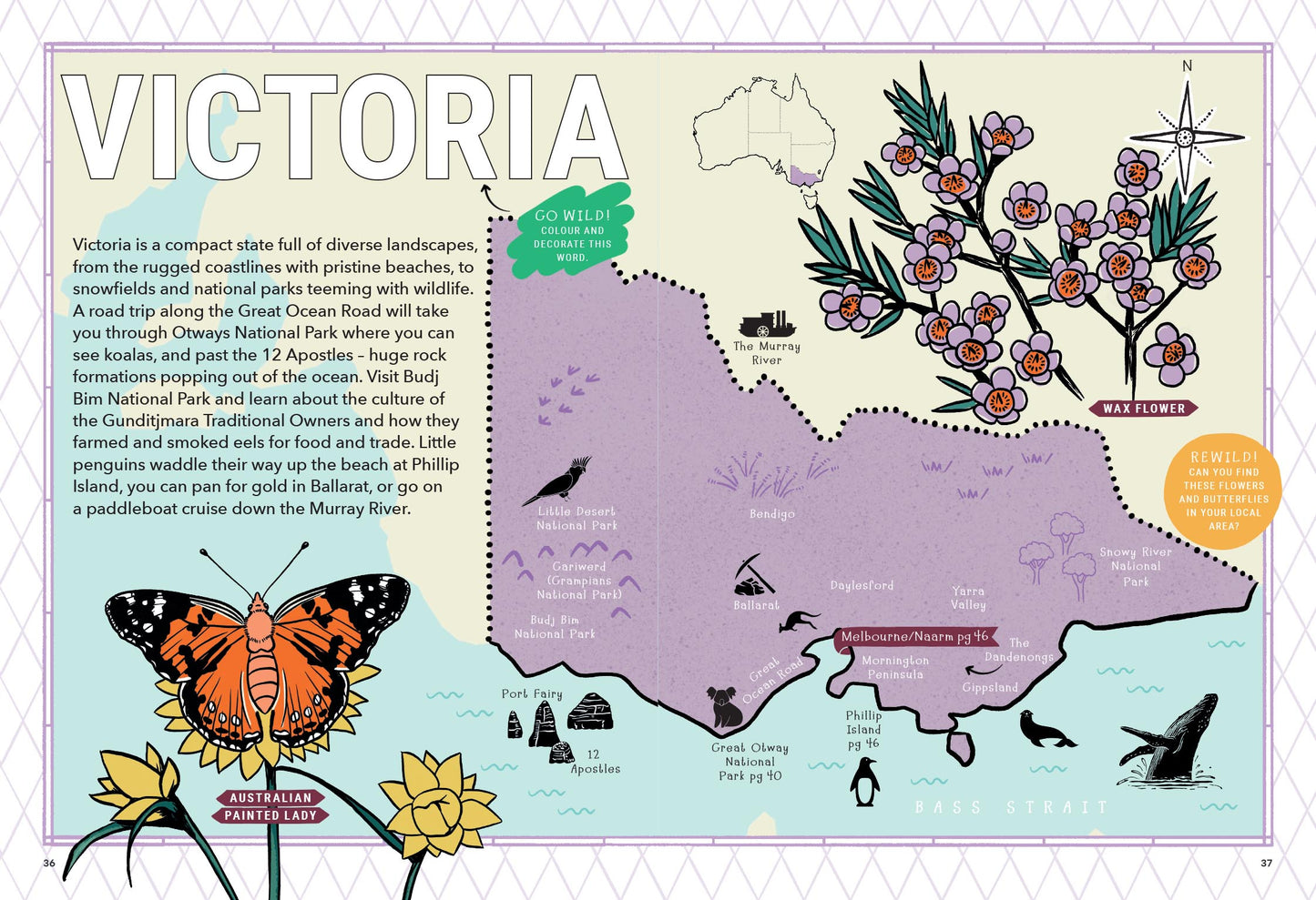 BOOKS & CO - REWILDING KIDS AUSTRALIA - A Mindful Activity Book
