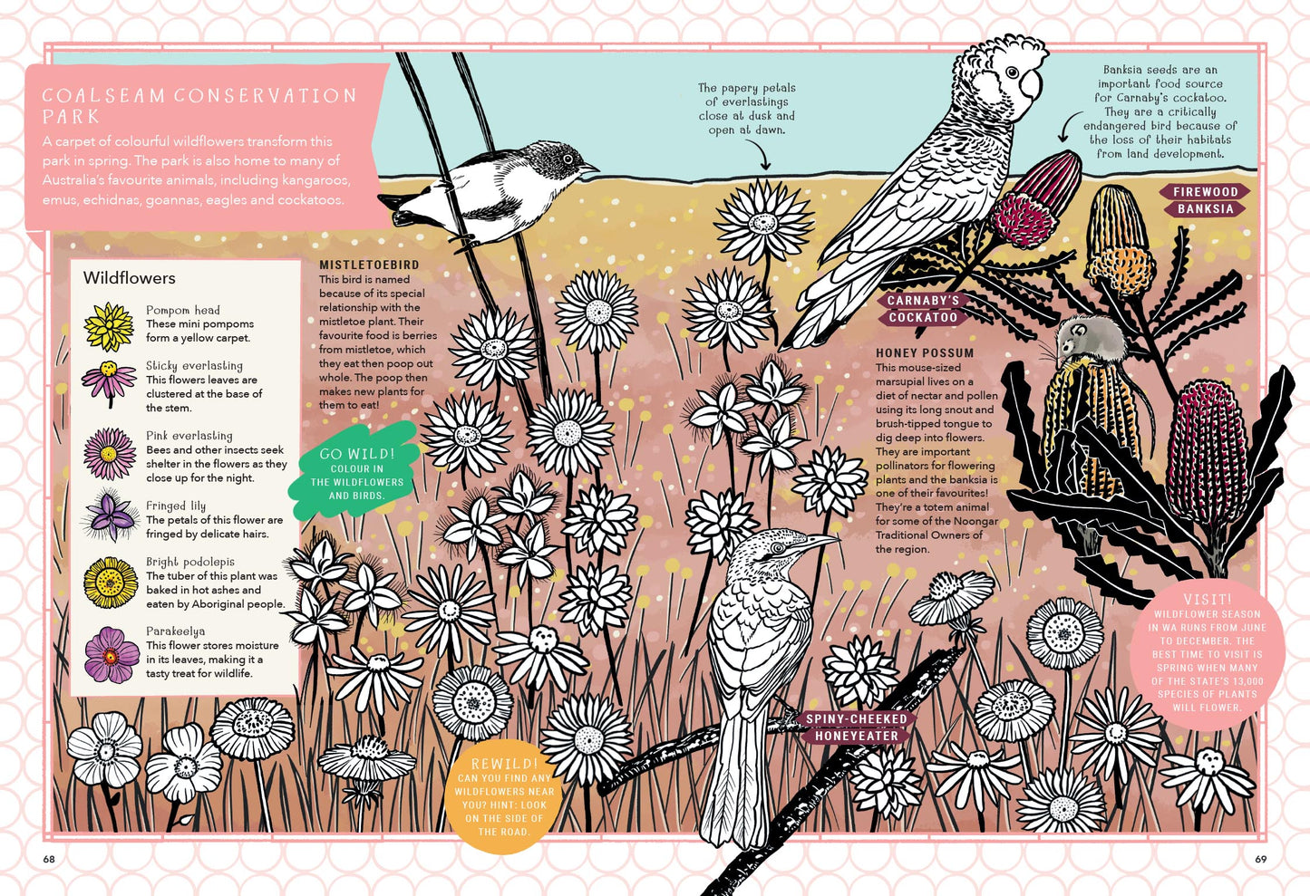 BOOKS & CO - REWILDING KIDS AUSTRALIA - A Mindful Activity Book