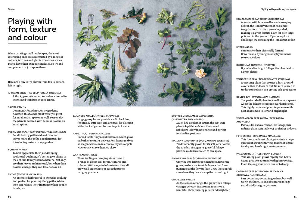 BOOKS & CO - Green by Jason Chongue