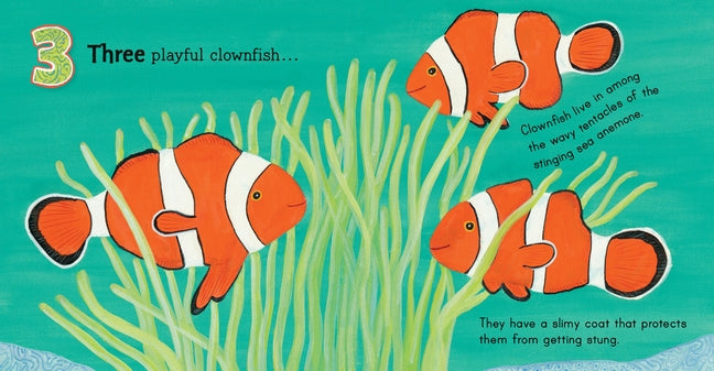 BOOKS & CO - Australia Under the Sea 123 by Frane Lessac- Small Board Book