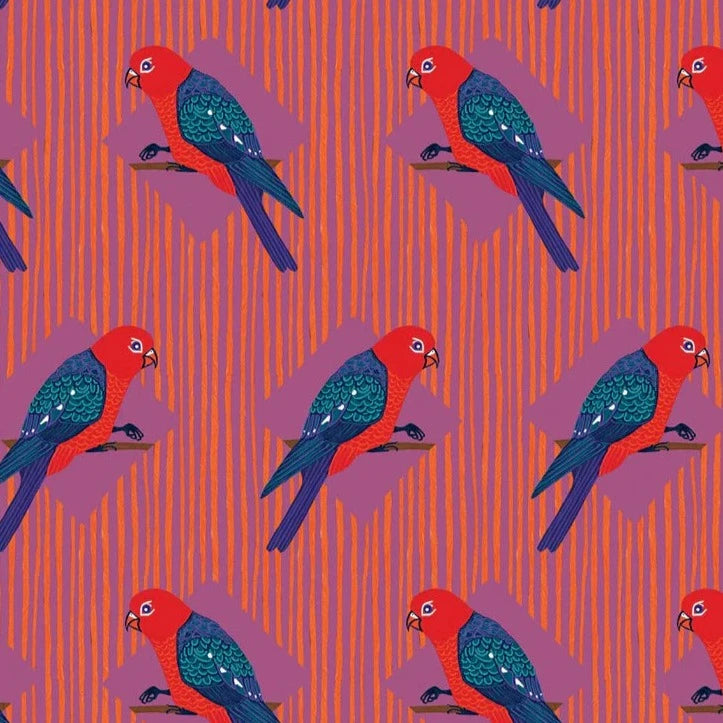 BOOKS & CO - ALL WRAPPED UP : BUGS & BIRDS by Bronwyn Bancroft