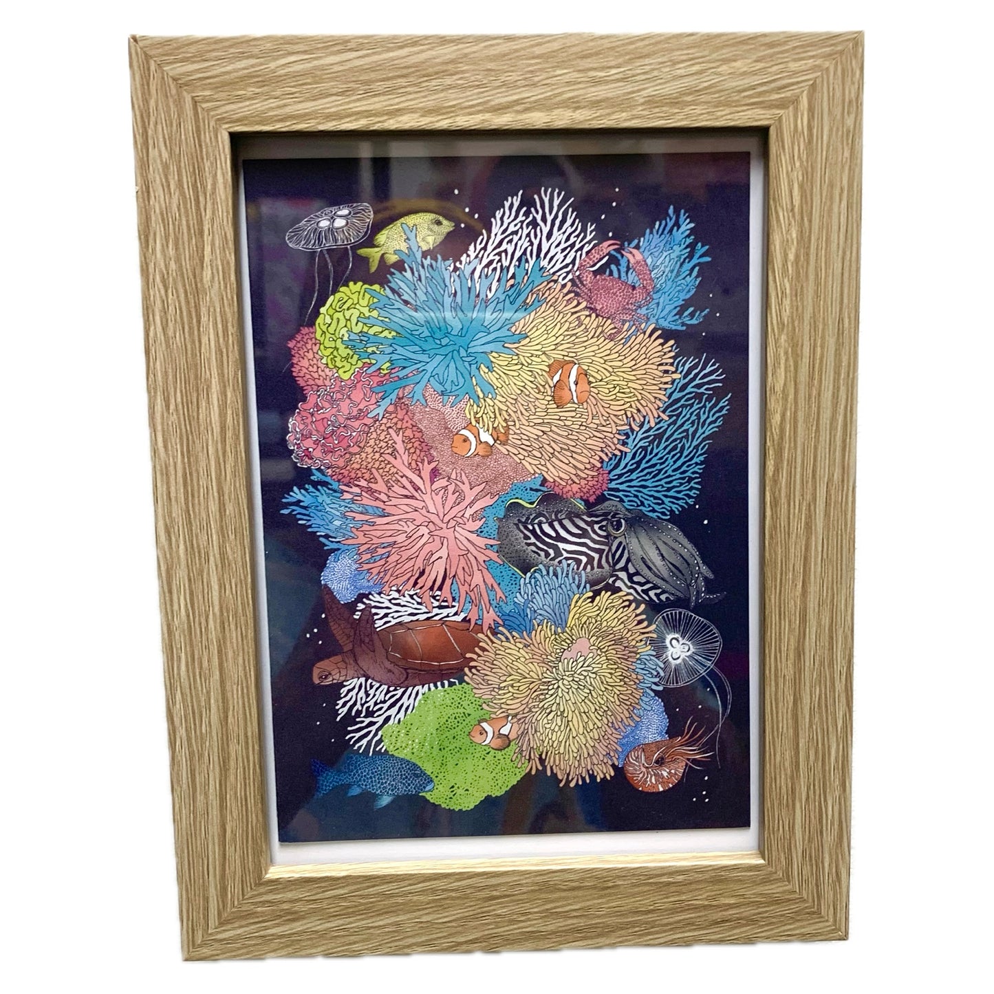 EARTH GREETINGS- "REEF"- FRAMED IMAGE- by Australian artist Victoria McGrane.