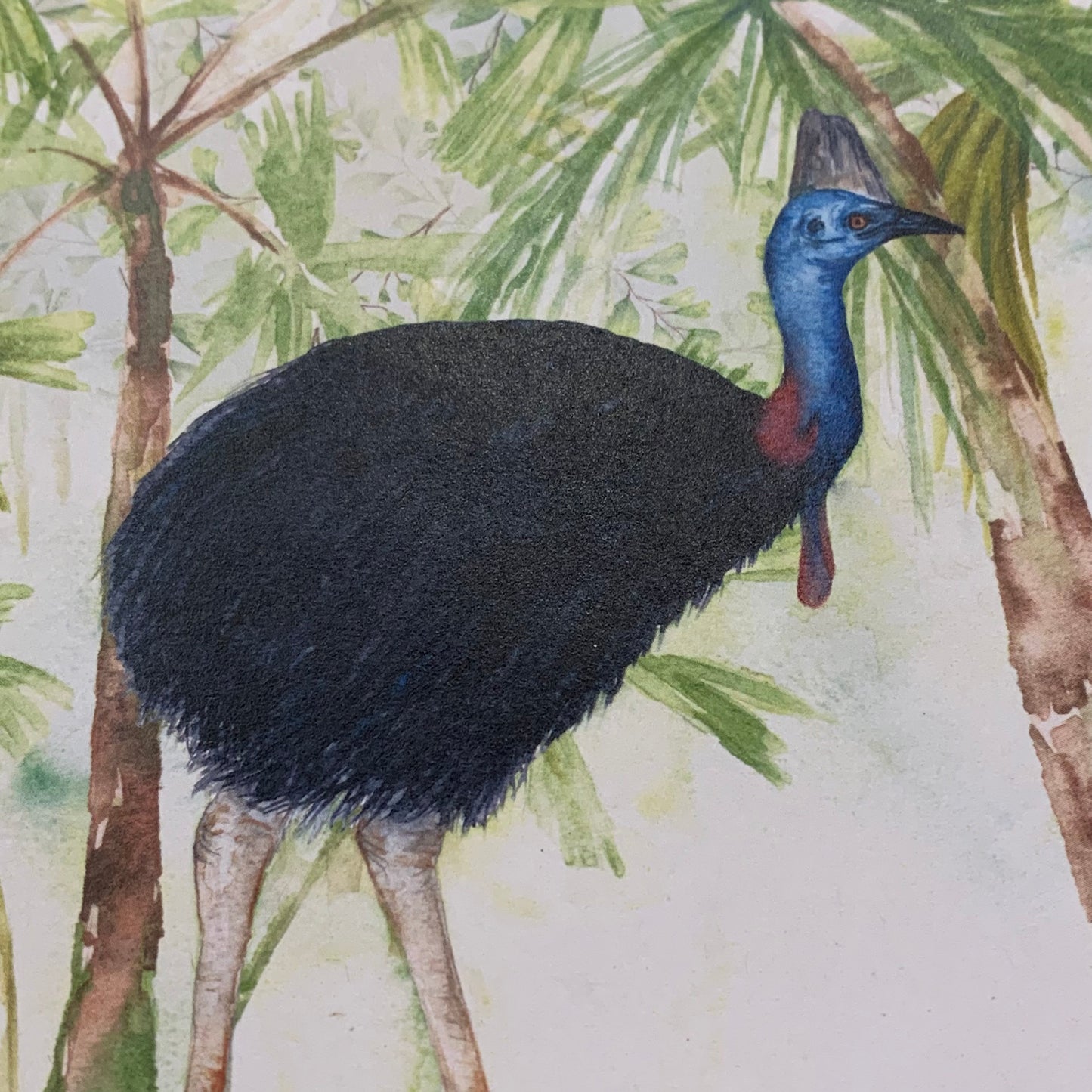 Shanna Trees Creations- Cassowary Regular Greeting Card