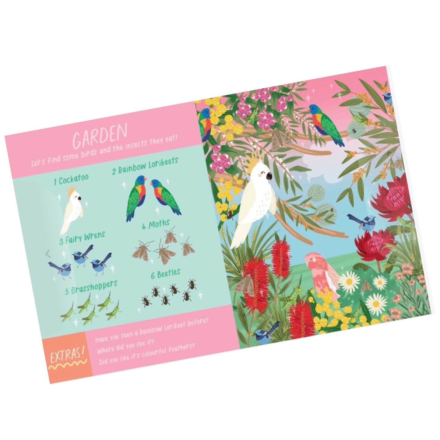 BOOKS & CO - LET’S LOOK AT AUSTRALIAN BIRDS- Christie Williams