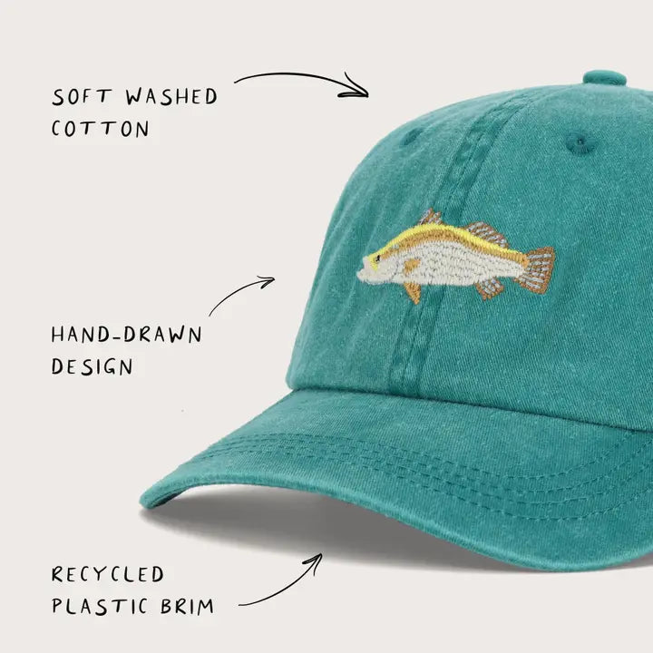 PALLION POINT - FISH LIDS - Barramundi Cap in Teal
