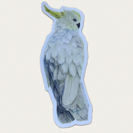 Shanna Trees Creations- White Cockatoo Large Sticker