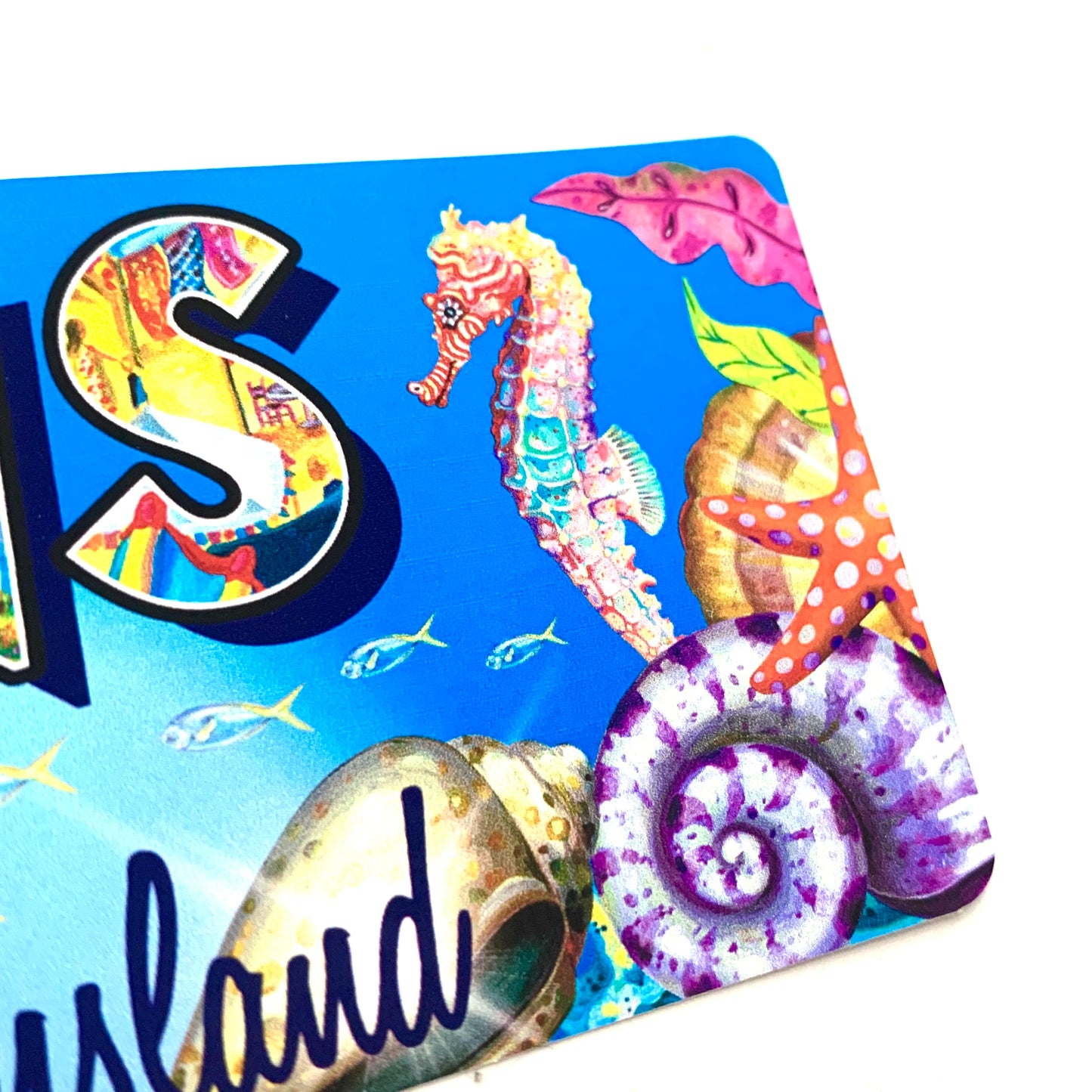 HAYLEY GILLESPIE - CAIRNS REEF - BUMPER STICKERS