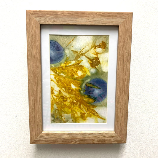 WILD BRASS- "Blue Fruit"- BOTANICAL ECO DYED PAPER FRAMED ARTWORK
