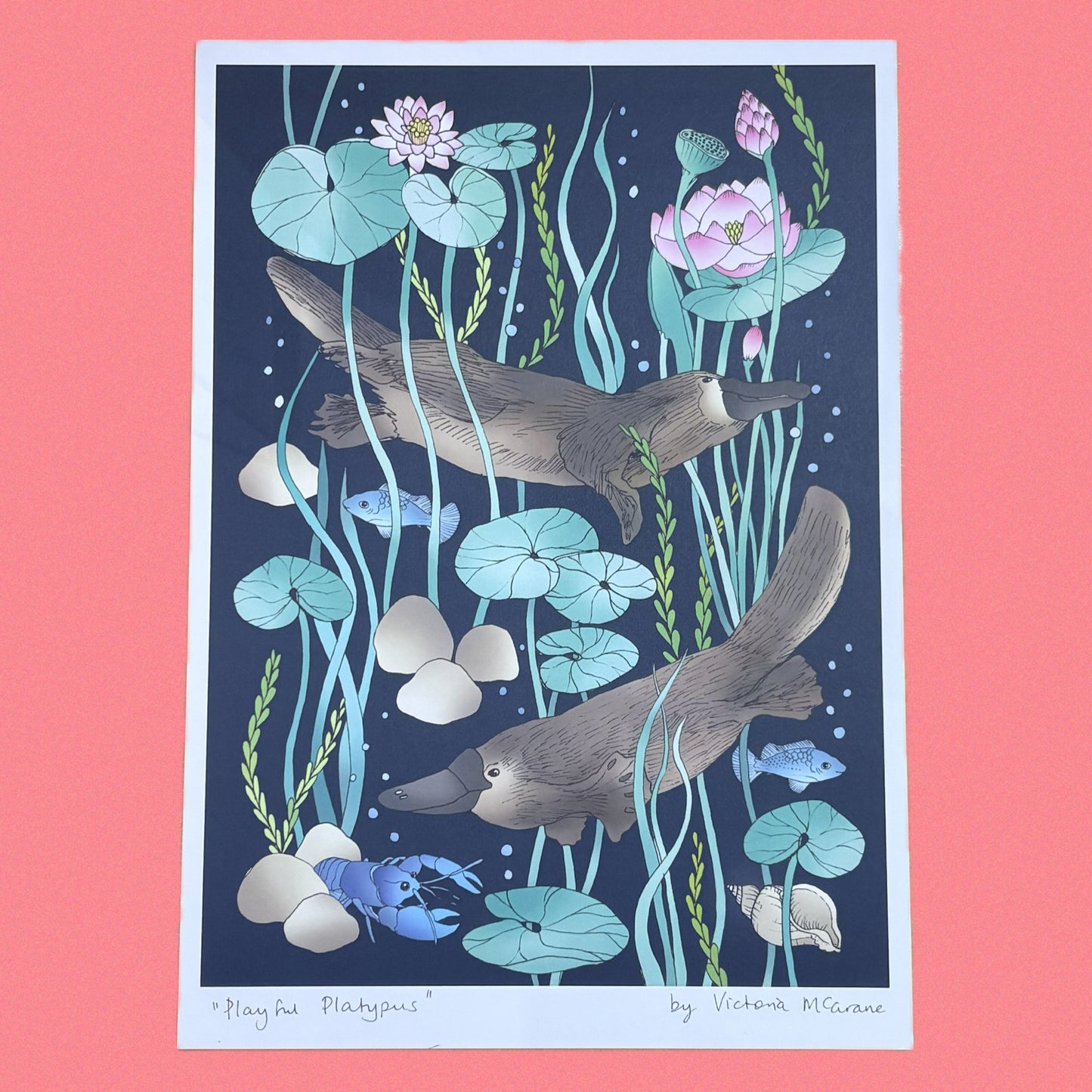 THE SCENIC ROUTE - "PLAYFUL PLATYPUS"- A4 ART PRINT