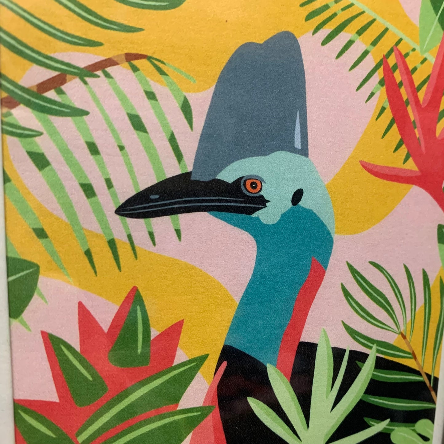 OUTER ISLAND "Cassowary"- Framed Image