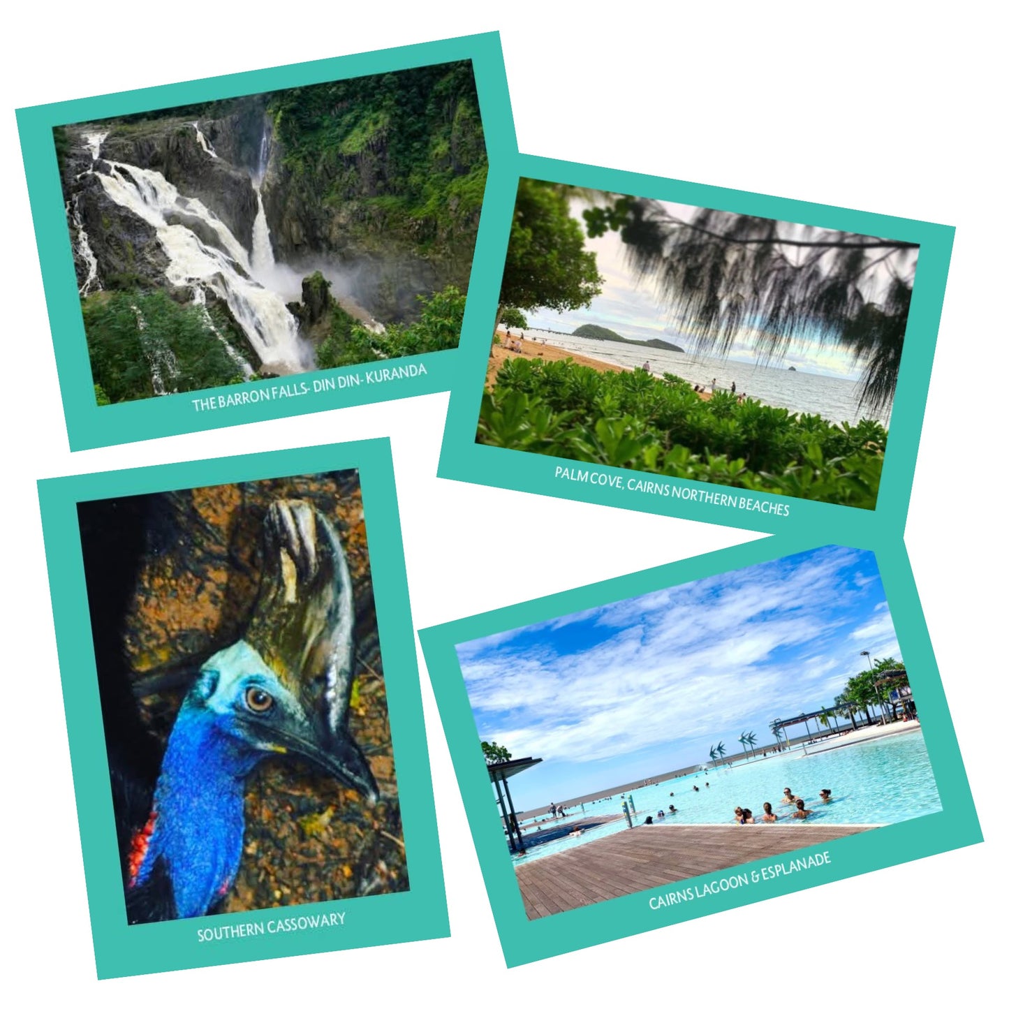 MAKIN' WHOOPEE - BARRON FALLS- POSTCARD