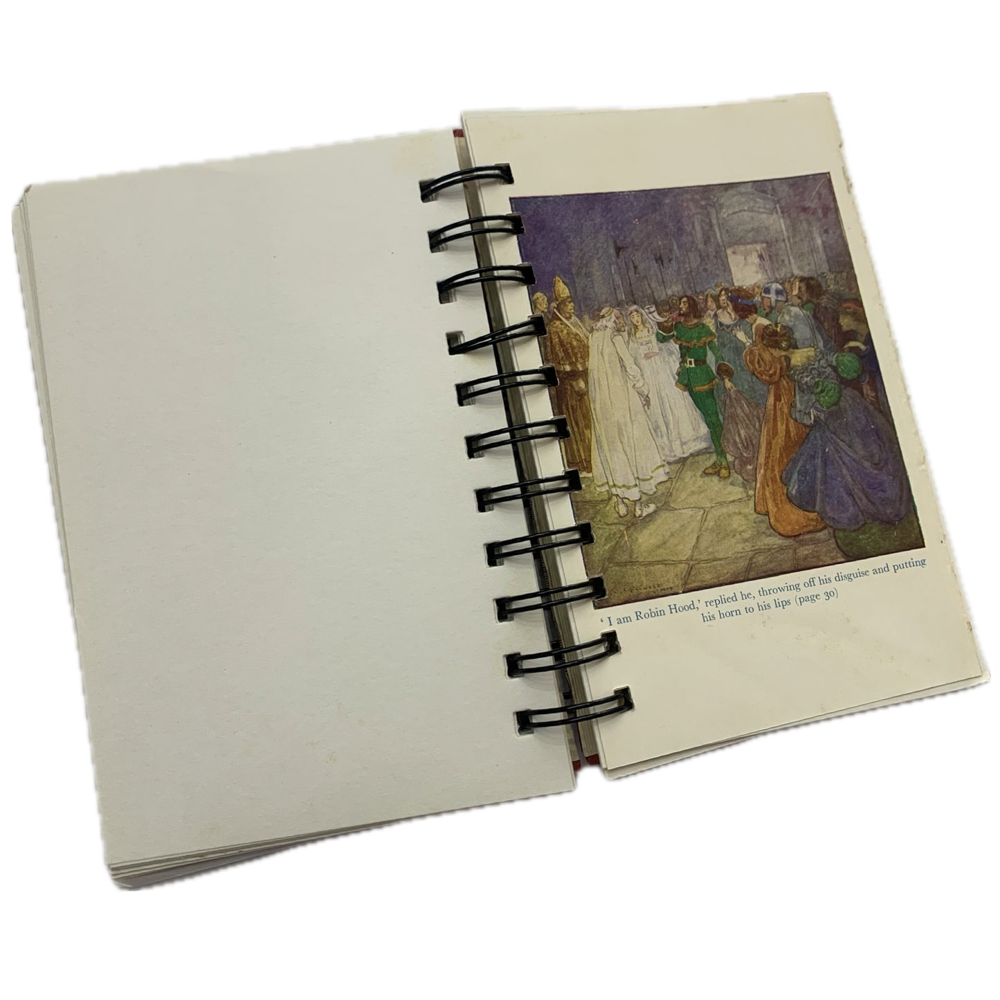 THIS BIRD HAS FLOWN - Rebound Book Journals- Robin Hood